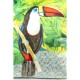 Almofada Sitting Tucan 45x45cm