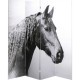 Biombo Beauty Horses 160x180 cm