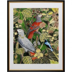 Quadro com Moldura Birds in Jungle 80x100 cm