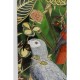 Quadro com Moldura Birds in Jungle 80x100 cm