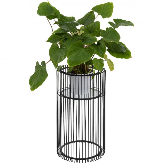 Suporte de Planta Wire Black 70 cm