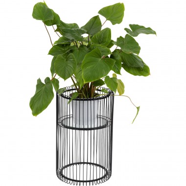 Suporte de Planta Wire Black 57 cm