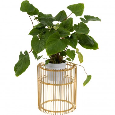 Suporte de Planta Wire Gold 44 cm