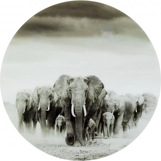 Quadro de vidro Elephant Walk Ø120 cm