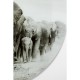 Quadro de vidro Elephant Walk Ø120 cm
