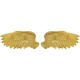 Objeto de parede Angel Wings (conjunto de 2)