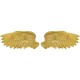 Objeto de parede Angel Wings (conjunto de 2)