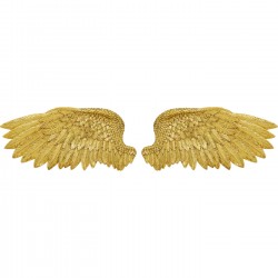 Objeto de parede Angel Wings (conjunto de 2)
