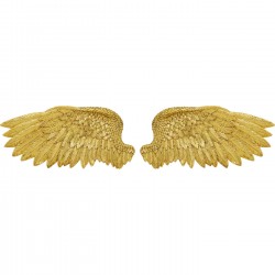 Objeto de parede Angel Wings (conjunto de 2)