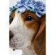 Objeto decorativo Fiori Beagle 47 cm