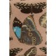 Almofada Butterfly Family 40x40 cm