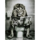 Pintura em vidro leao jornal 60x80cm
