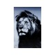 Quadro de Vidro Lion King Standing 120x160cm