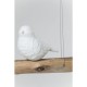 Candeeiro de Tecto Dining Birds-38804 (3)