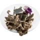 Mesa de Centro Roots Ø100cm