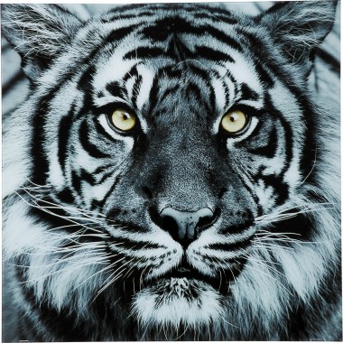 Quadro de Vidro Face Tiger 80x80cm-35848 (2)