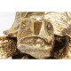 Peça Decorativa Turtle Dourada Big