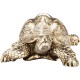 Peça Decorativa Turtle Gold Small