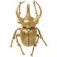 Decoração de Parede Atlas Beetle Gold-60489 (8)