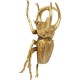 60489.JPG - Decoração de Parede Atlas Beetle Gold