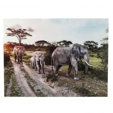 Quadro de Vidro Elefant Family 160x120cm