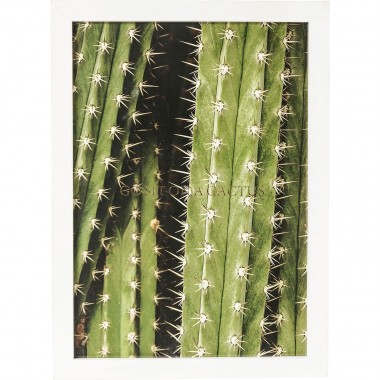 Quadro c/ moldura Cactus 45x33cm