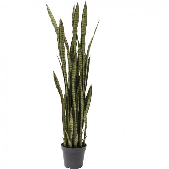 Planta decorativa Sansewieria 155cm