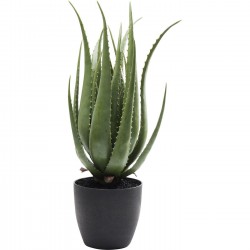 Planta decorativa Aloe 69cm