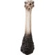 60940.JPG - Decoração de Parede Ostrich