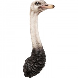 Decoração de Parede Ostrich