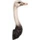 Decoração de Parede Ostrich-60940 (5)