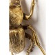 60491.JPG - Decoração de Parede Herkules Beetle Gold