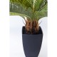 Planta decorativa Cycas Tree 78cm