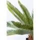 Planta decorativa Cycas Tree 78cm