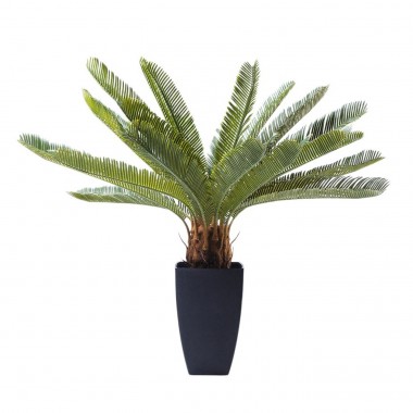 Planta decorativa Cycas Tree 78cm