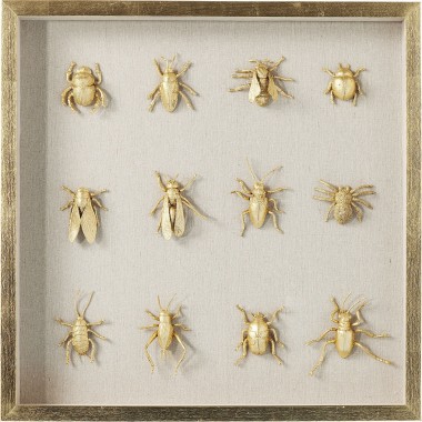 Quadro c/ moldura Bugs 60x60cm