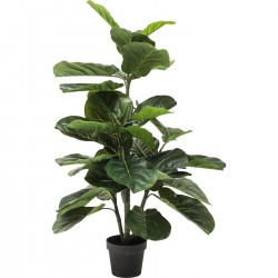 Planta decorativa Fiddle Leaf 120cm