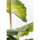 Planta decorativa Rainforest Verde 160cm