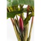 Planta decorativa Rainforest Verde 160cm