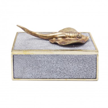 Caixa Skate