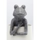 61600.JPG - Candeeiro de Mesa Animal Frog Cinzento