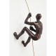 61623.JPG - Decoração de Parede Climber Rope