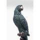 Peça Decorativa Parrot Azul esVerdeado