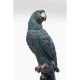 Peça Decorativa Parrot Azul esVerdeado