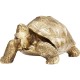 Peça Decorativa Turtle Gold Medium