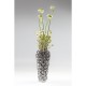 Vaso Rose Multi Chrome Small