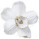 Decoração de Parede Orchid Branco 25cm-69265 (5)