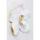 Decoração de Parede Orchid Branco 54cm-69163 (4)