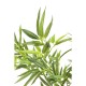 Planta decorativa Bamboo Tree 200cm