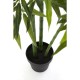 Planta decorativa Bamboo Tree 200cm